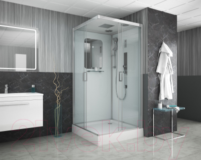 Душевая кабина Niagara NG-6001-01GQ 90x90x210