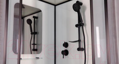 Душевая кабина Niagara NG-6002-01 100x100x210