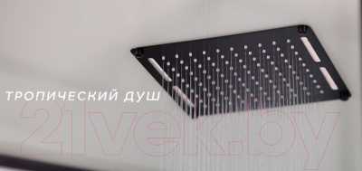 Душевая кабина Niagara NG-6002-01 100x100x210