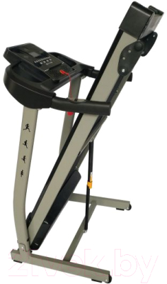 Электрическая беговая дорожка DFC Lavita / T350