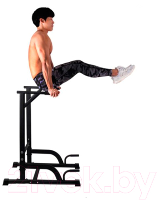 Турник-брусья DFC G002A