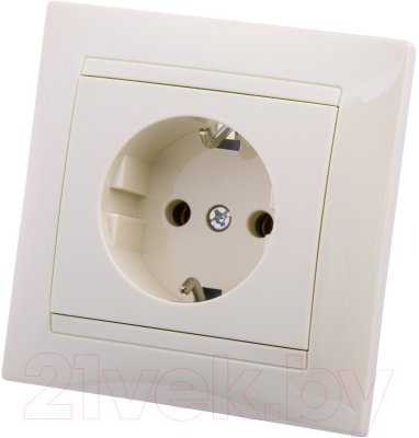 Розетка TDM Лама SQ1815-0123 - фото
