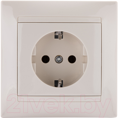 Розетка TDM Лама SQ1815-0123