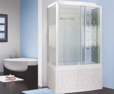 Душевая кабина Niagara NG-307-01R 120x80x220