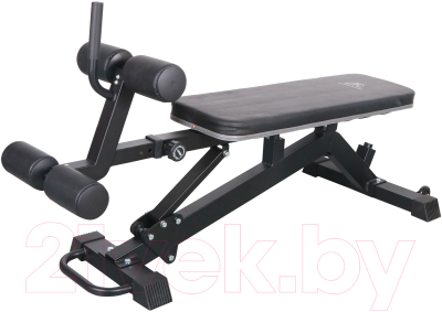 Скамья для пресса DFC D2320 - фото