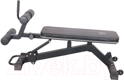 Скамья для пресса DFC D2320