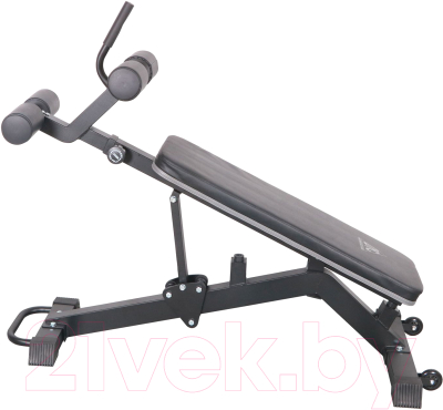 Скамья для пресса DFC D2320