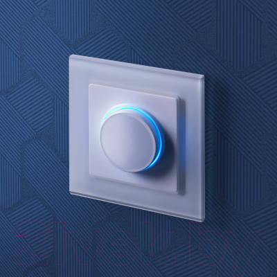 Рамка для выключателей и розеток Werkel W0011101 / a051192