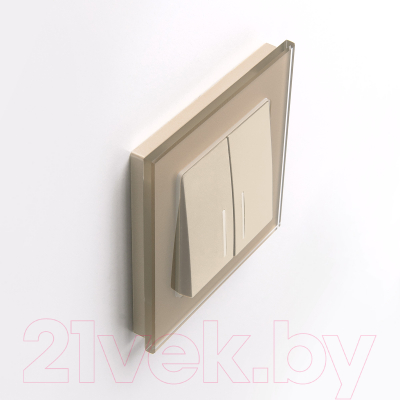 Рамка для выключателей и розеток Werkel W0011111 / a050793