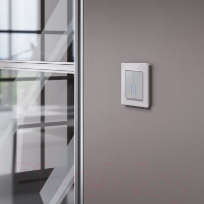 Рамка для выключателей и розеток Werkel W0011117 / a050899