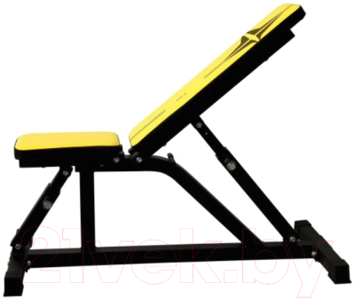 Скамья многофункциональная DFC DZ003Y