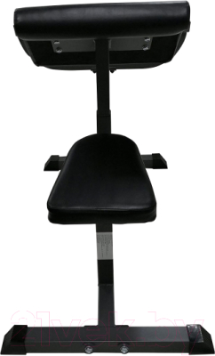 Скамья Скотта DFC Homegym UB008