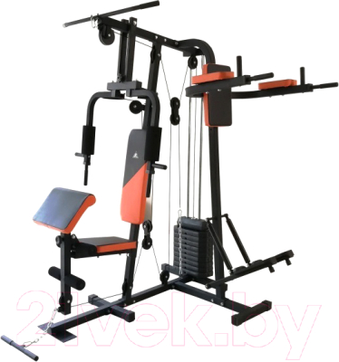 Силовой тренажер DFC D7002 - фото