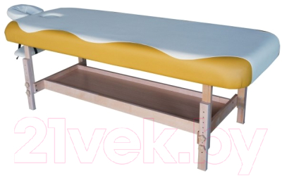 Массажный стол DFC Nirvana Superior / TS100 - фото