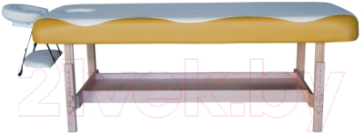 Массажный стол DFC Nirvana Superior / TS100