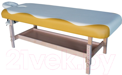 Массажный стол DFC Nirvana Superior / TS100