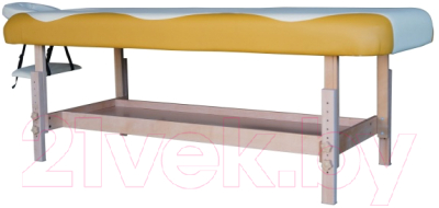 Массажный стол DFC Nirvana Superior / TS100