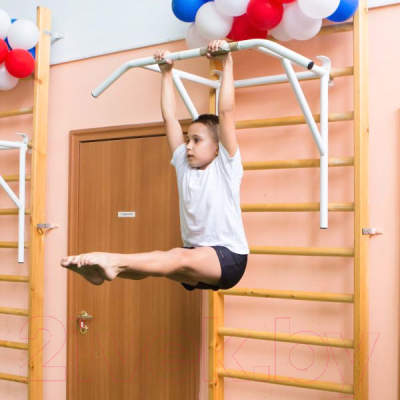 Турник-брусья ZSO 24962