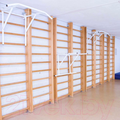 Турник-брусья ZSO 24962