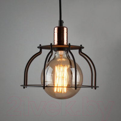 Лампа Elektrostandard G95 60W