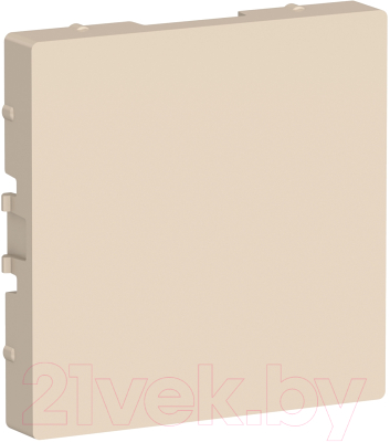 Декоративная заглушка для розетки Schneider Electric AtlasDesign ATN000209 - фото