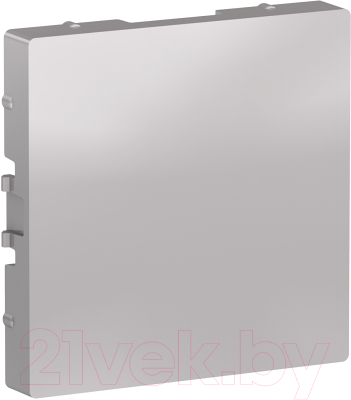 Декоративная заглушка для розетки Schneider Electric AtlasDesign ATN000309 - фото