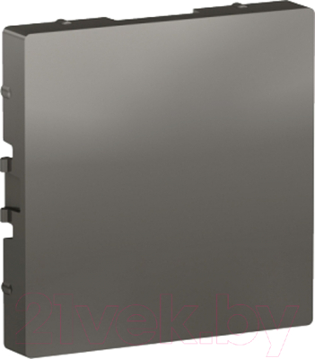 Декоративная заглушка для розетки Schneider Electric AtlasDesign ATN000909 - фото