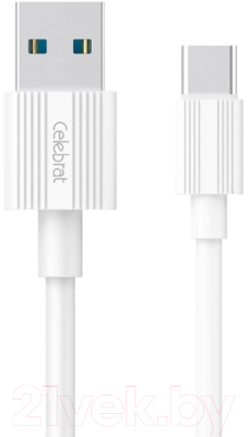 Кабель Celebrat CB-09 Type-C - фото