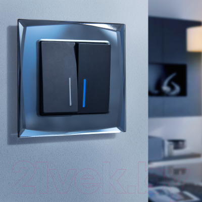 Рамка для выключателей и розеток Werkel W0011208 / a051444