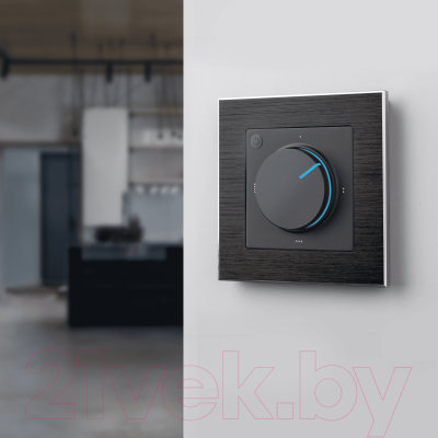 Рамка для выключателей и розеток Werkel W0011708 / a050949