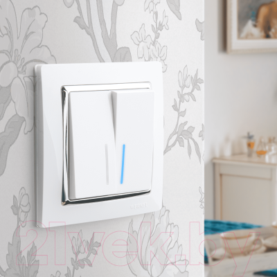 Рамка для выключателей и розеток Werkel W0011901 / a051657