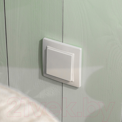 Рамка для выключателей и розеток Werkel W0012001 / a051303