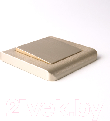 Рамка для выключателей и розеток Werkel W0012111 / a051284