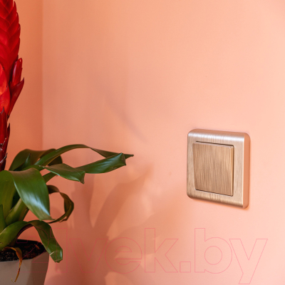 Рамка для выключателей и розеток Werkel W0012111 / a051284