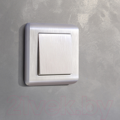 Рамка для выключателей и розеток Werkel W0012113 / a051264