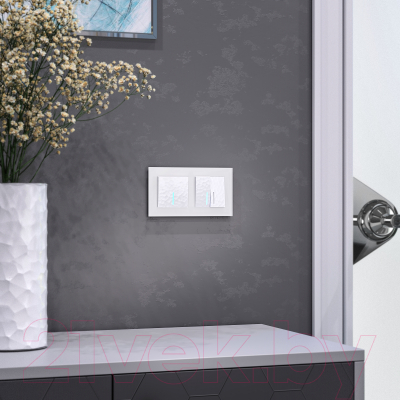 Рамка для выключателей и розеток Werkel W0021105 / a051289