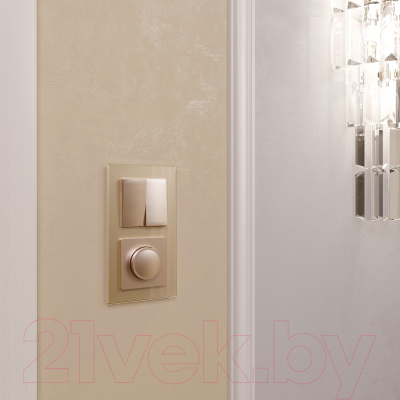 Рамка для выключателей и розеток Werkel W0021111 / a050796