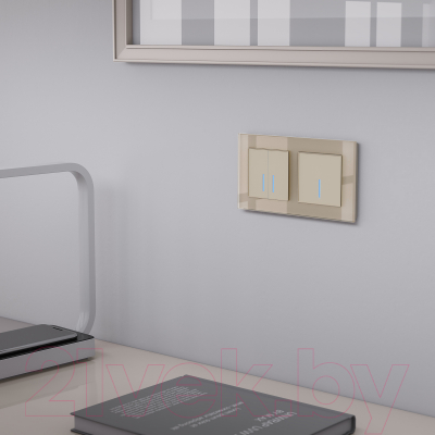 Рамка для выключателей и розеток Werkel W0021111 / a050796