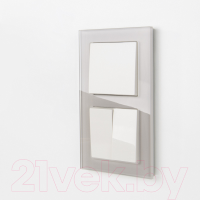 Рамка для выключателей и розеток Werkel W0021117 / a050895