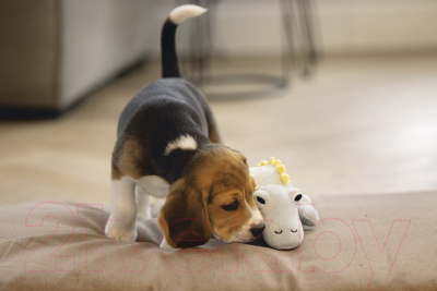 Игрушка для собак Beeztees Динозавр Vince / 619140