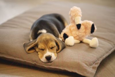 Игрушка для собак Beeztees Фламинго Mick / 619142