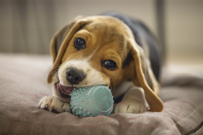 Игрушка для собак Beeztees Мяч / 626847