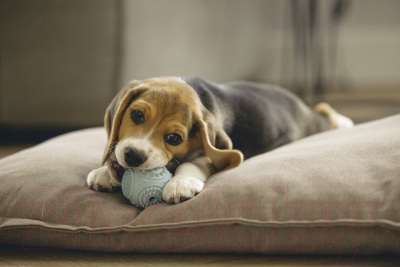 Игрушка для собак Beeztees Мяч / 626847