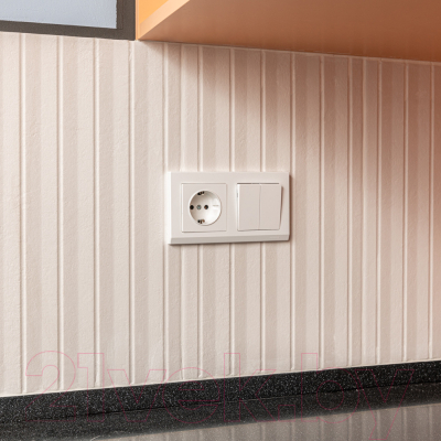 Рамка для выключателей и розеток Werkel W0021801 / a050904