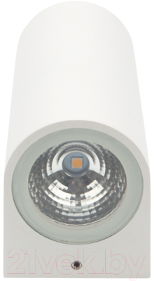 Бра Rexant Cassiopea 610-002 - фото