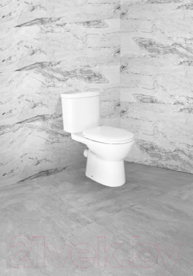 Сиденье для унитаза Acquasi AS863SC