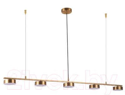 Потолочный светильник ST Luce Pances SL6000.303.05 - фото