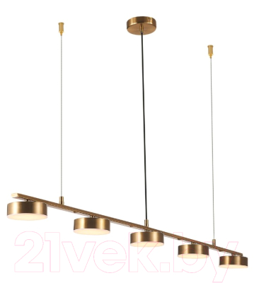 Потолочный светильник ST Luce Pances SL6000.303.05