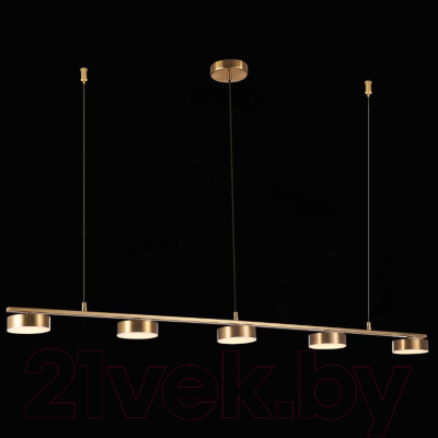 Потолочный светильник ST Luce Pances SL6000.303.05