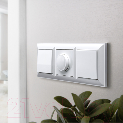 Рамка для выключателей и розеток Werkel W0032201 / a051020